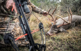 Highwind Lake Camp | Hunting Big Game