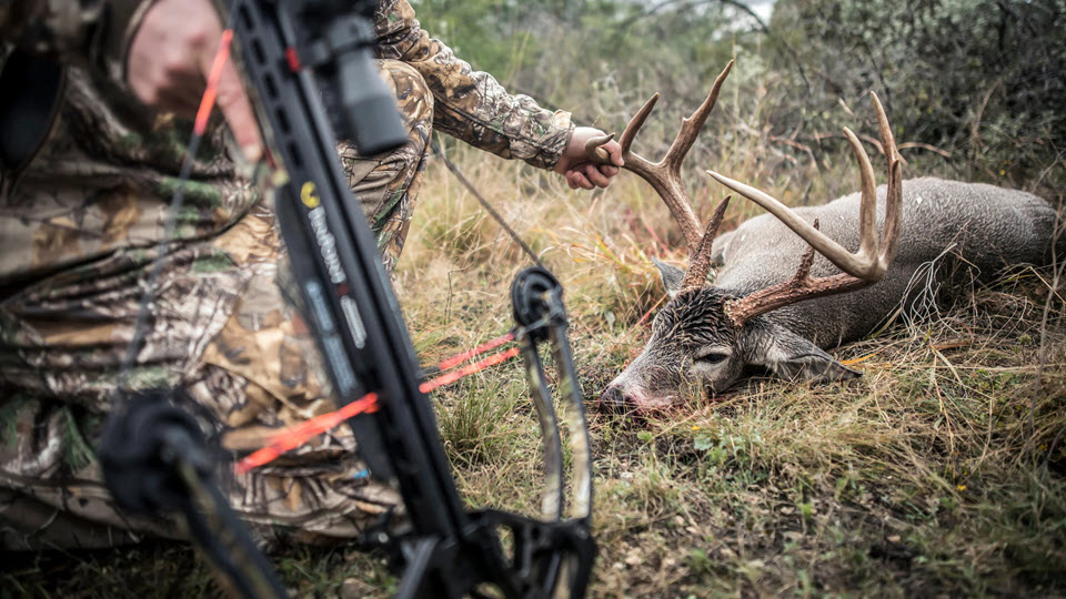 Highwind Lake Camp | Deer Hunting