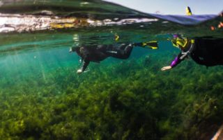 Highwind Lake Camp | Snorkelling